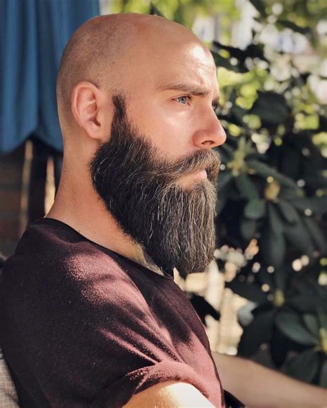 beard styles bald